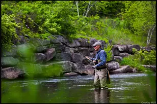 5/6/7 Ames-Bott Bridge Rd, Livingston Manor, NY 12758 - Photo 41