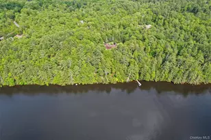 1775 Plank Rd, Forestburgh, NY 12777 - Photo 43