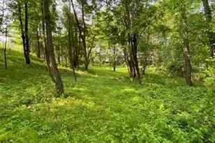 156 Schefflers Rd, Westtown, NY 10998 - Photo 7