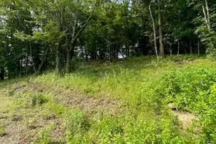 156 Schefflers Rd, Westtown, NY 10998 - Photo 5