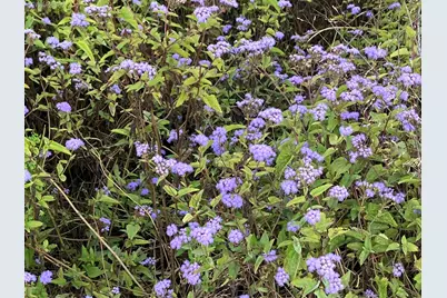 136 John Street, Kingston, NY  - Photo 13