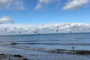 12 Soundview Dr, Rocky Point, NY 11778 - Photo 47