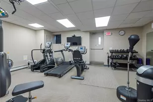 25 Chapel Pl, Great Neck, NY 11021 - Photo 17