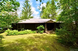 240 Trout Brook Rd, Roscoe, NY 12736 - Photo 9