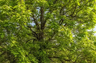 114 Best Ln, Germantown, NY 12526 - Photo 13