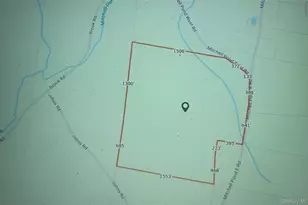 169 Mitchell Pond Road E, Cochecton Center, NY 12726 - Photo 25