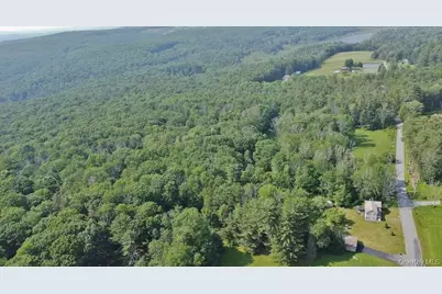 169 Mitchell Pond Road E, Cochecton Center, NY 12726 - Photo 3