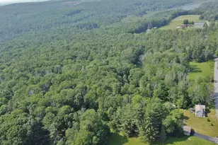 169 Mitchell Pond Road E, Cochecton Center, NY 12726 - Photo 3