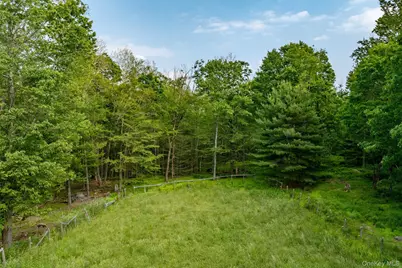 193 Dill Road, Forestburgh, NY 12777 - Photo 29