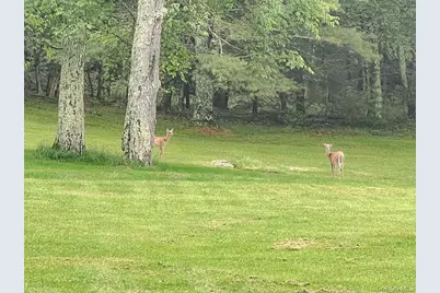 100 Old Tacy Road #TR95, Bethel, NY 12783 - Photo 47