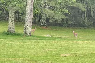 100 Old Tacy Rd, Bethel, NY 12783 - Photo 47