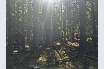 8 Kern Road, Barryville, NY 12719 - Photo 3