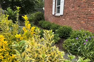 38 Mason Dr, Manhasset, NY 11030 - Photo 29