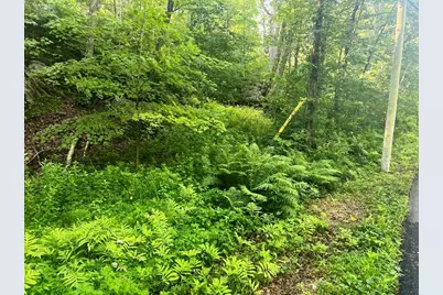 Lot 14.1 Wiccopee Road, Putnam Valley, NY 10579 - Photo 3