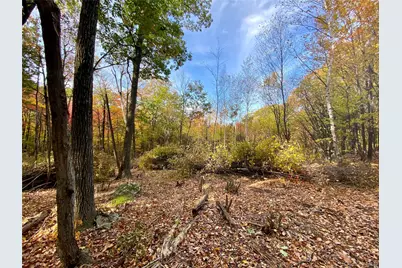 400 Mercer Mountain Road, East Chatham, NY 12060 - Photo 11