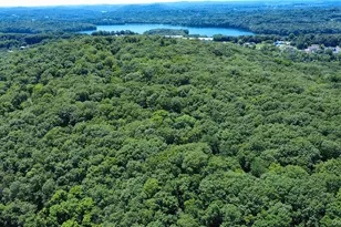 118 Scenic Ridge Dr, Brewster, NY 10509 - Photo 45