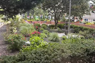 81-11 45th Ave, Elmhurst, NY 11373 - Photo 9