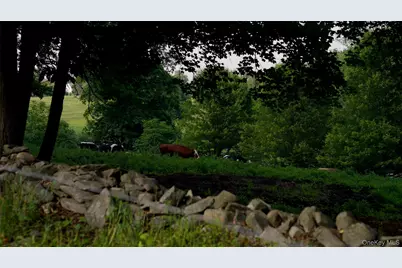 2039 Salt Point Turnpike, Salt Point, NY 12578 - Photo 5