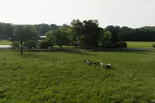 2039 Salt Point Turnpike, Salt Point, NY 12578 - Photo 3