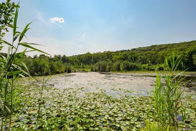 11 Trail Of The Hemlocks, Putnam Valley, NY 10579 - Photo 21