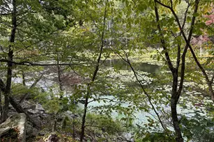 745 Floyd Ackert Rd, New Paltz, NY 12561 - Photo 9