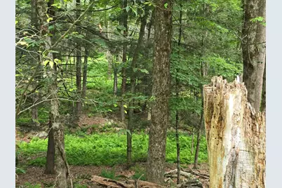 Gregory Road, Monticello, NY 12701 - Photo 5