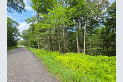 Gregory Road, Monticello, NY 12701 - Photo 3