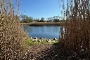 161 South Rd, Westhampton, NY 11977 - Photo 5