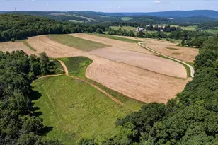 367 Prospect Hill Rd, Pine Plains, NY 12567 - Photo 47