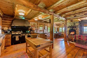 367 Prospect Hill Rd, Pine Plains, NY 12567 - Photo 35