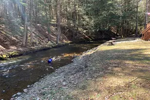 604 Basket Rd, Long Eddy, NY 12760 - Photo 3