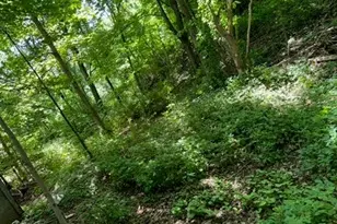 22 Beilke Rd, Millerton, NY 12546 - Photo 21