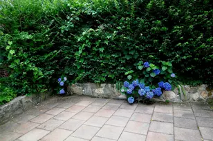 415 E Prospect Ave, Mount Vernon, NY 10553 - Photo 25