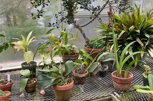 92 Walnut St, Lynbrook, NY 11563 - Photo 31