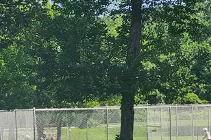 108 Village Rd, Jefferson Valley, NY 10598 - Photo 23