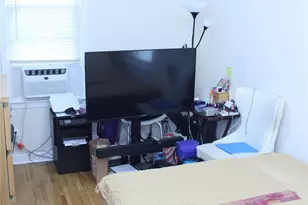 24 Garnet Pl, Elmont, NY 11003 - Photo 33