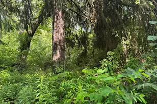 22 Living Springs Ln, Putnam Valley, NY 10579 - Photo 9