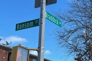 222-89 Braddock Ave, Bellerose, NY 11428 - Photo 23