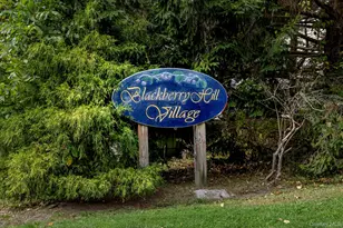 501 Village Dr, Brewster, NY 10509 - Photo 23