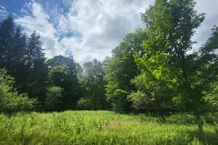 ** Creamery Rd, Mongaup Valley, NY 12720 - Photo 3