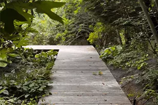 487 Tarpon Walk, Fire Island Pines, NY 11782 - Photo 3