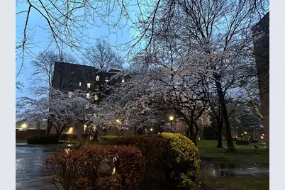 15040 71st Avenue #6C, Kew Gardens, NY 11367 - Photo 11