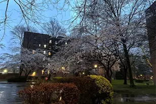 150-40 71st Ave, Kew Gardens, NY 11367 - Photo 11