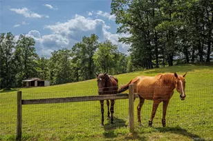 48 County Rte 14, Hudson, NY 12534 - Photo 47