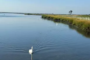 328 W Ivy Hill Rd, Woodmere, NY 11598 - Photo 33