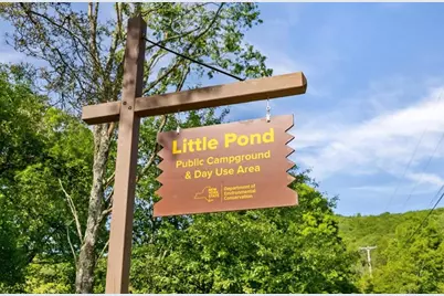 2018 Beaverkill Road, Livingston Manor, NY 12758 - Photo 23