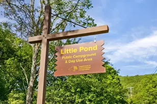 2018 Beaver Kill Rd, Livingston Manor, NY 12758 - Photo 23