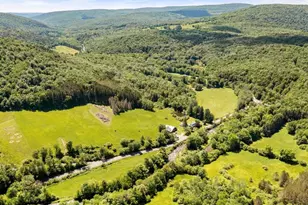 2018 Beaver Kill Rd, Livingston Manor, NY 12758 - Photo 3