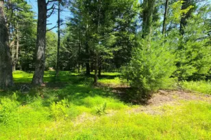 28 Martin Ln, Mongaup Valley, NY 12762 - Photo 33