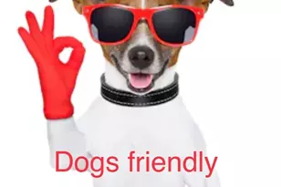 219-36 74th Ave, Bayside, NY 11364 - Photo 19